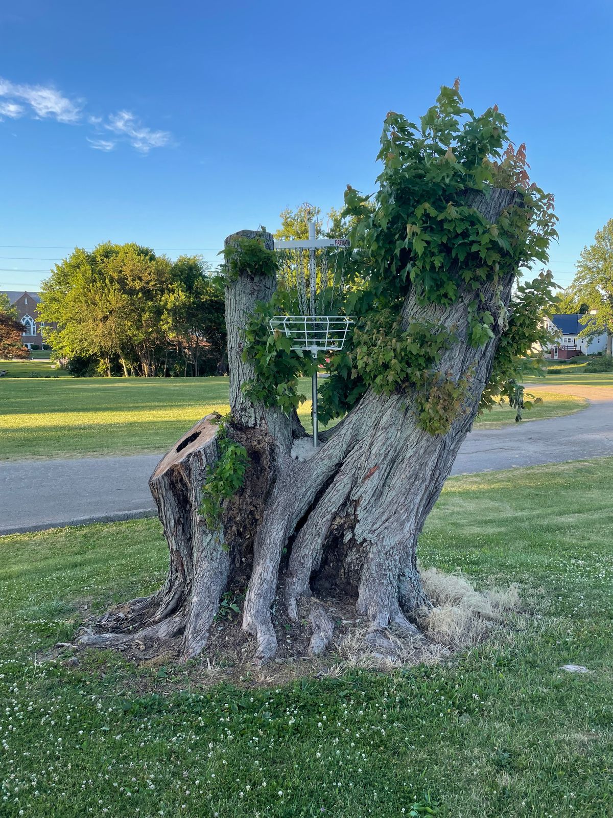 Hole 8/14