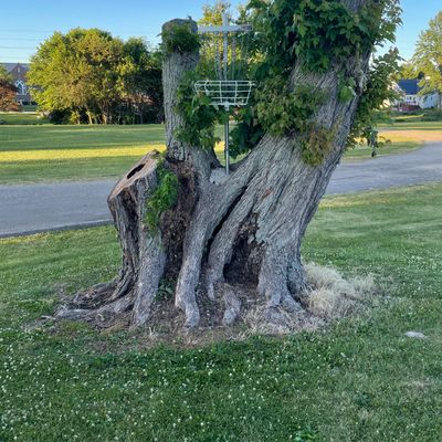Hole 8/14