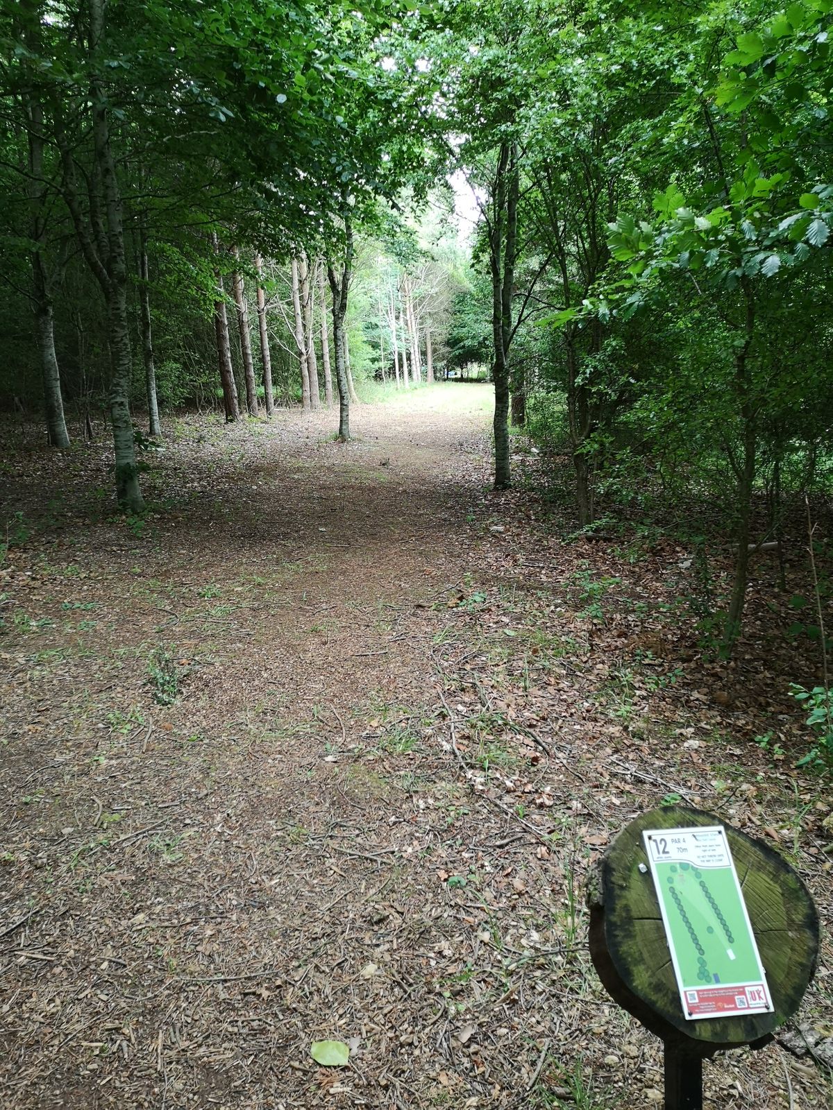 View from White Tee Hole 12
