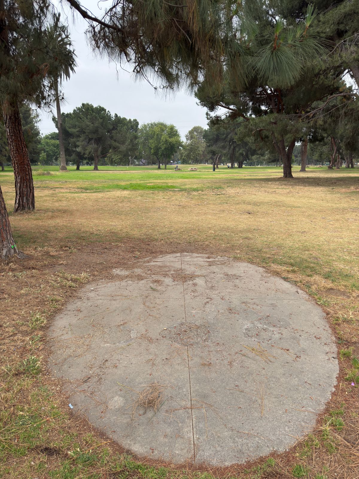 Hole 6 Tee