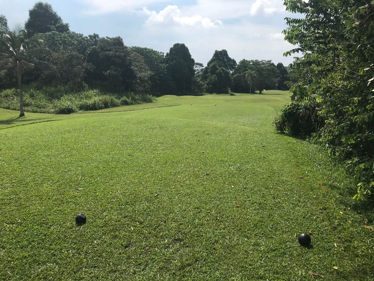 Tee for 15