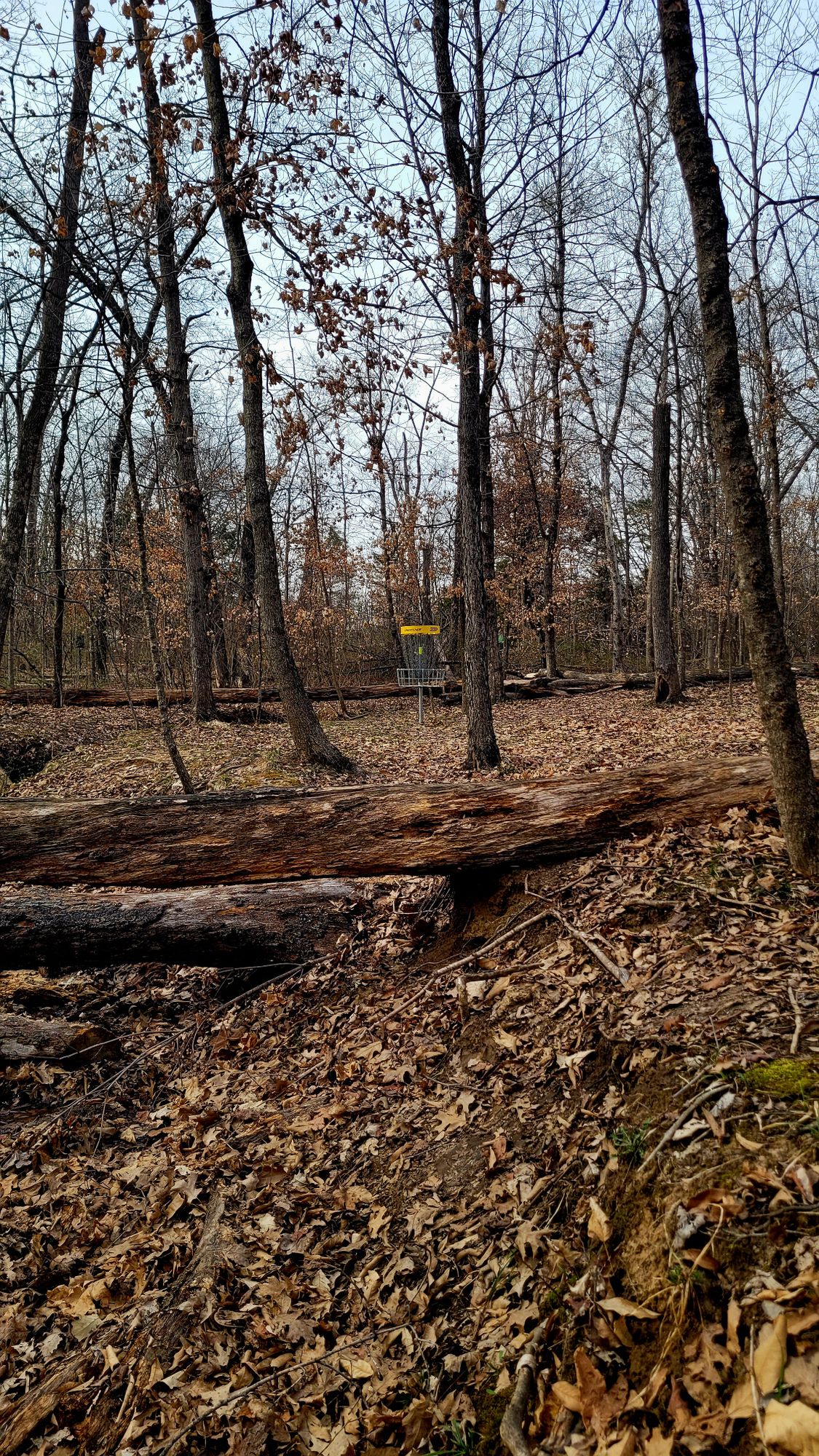 Hole 13 Short Pin from Fairway