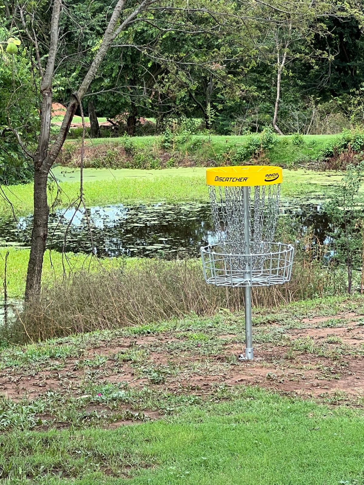 Basket Hole 1