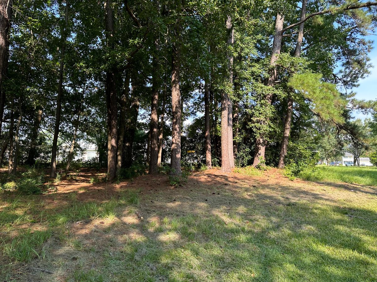 Hole 15 Approach