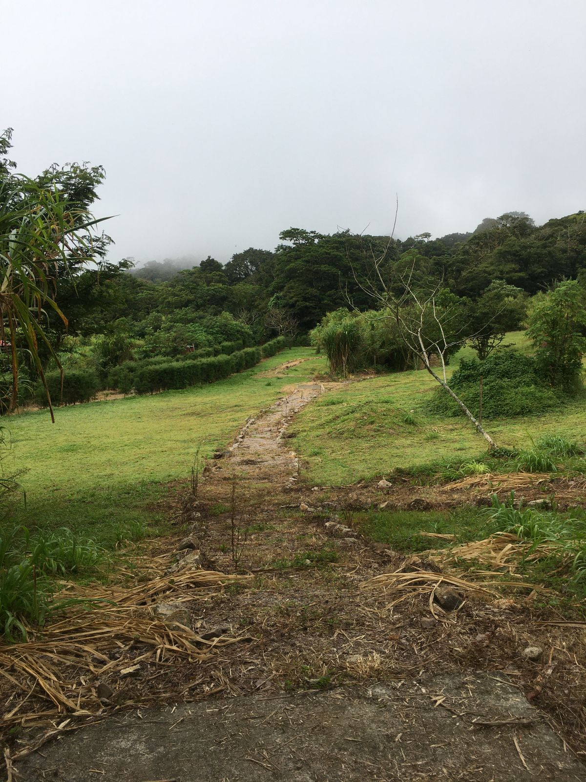 Hole 6 Long Tee