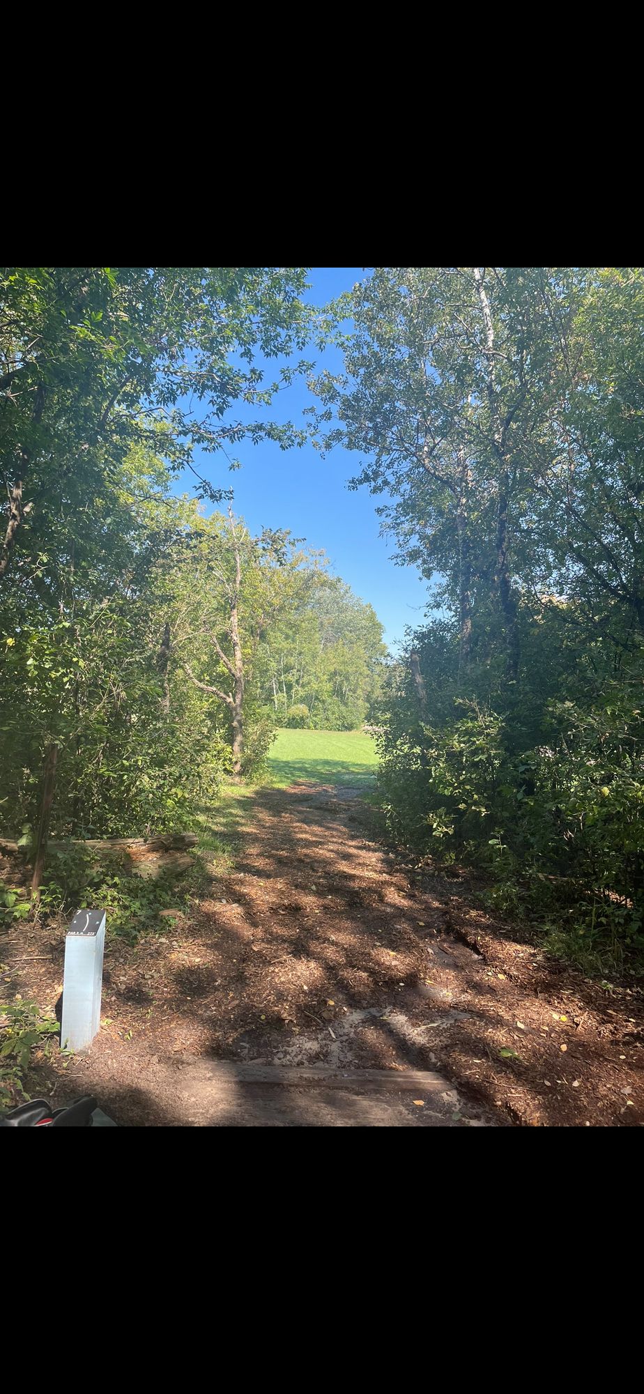 Hole 7 short tee pad