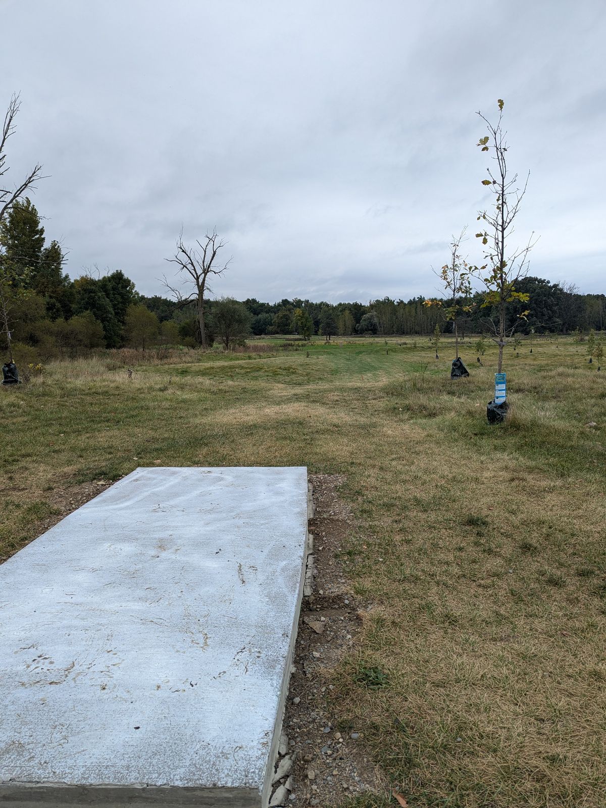 Hole 2