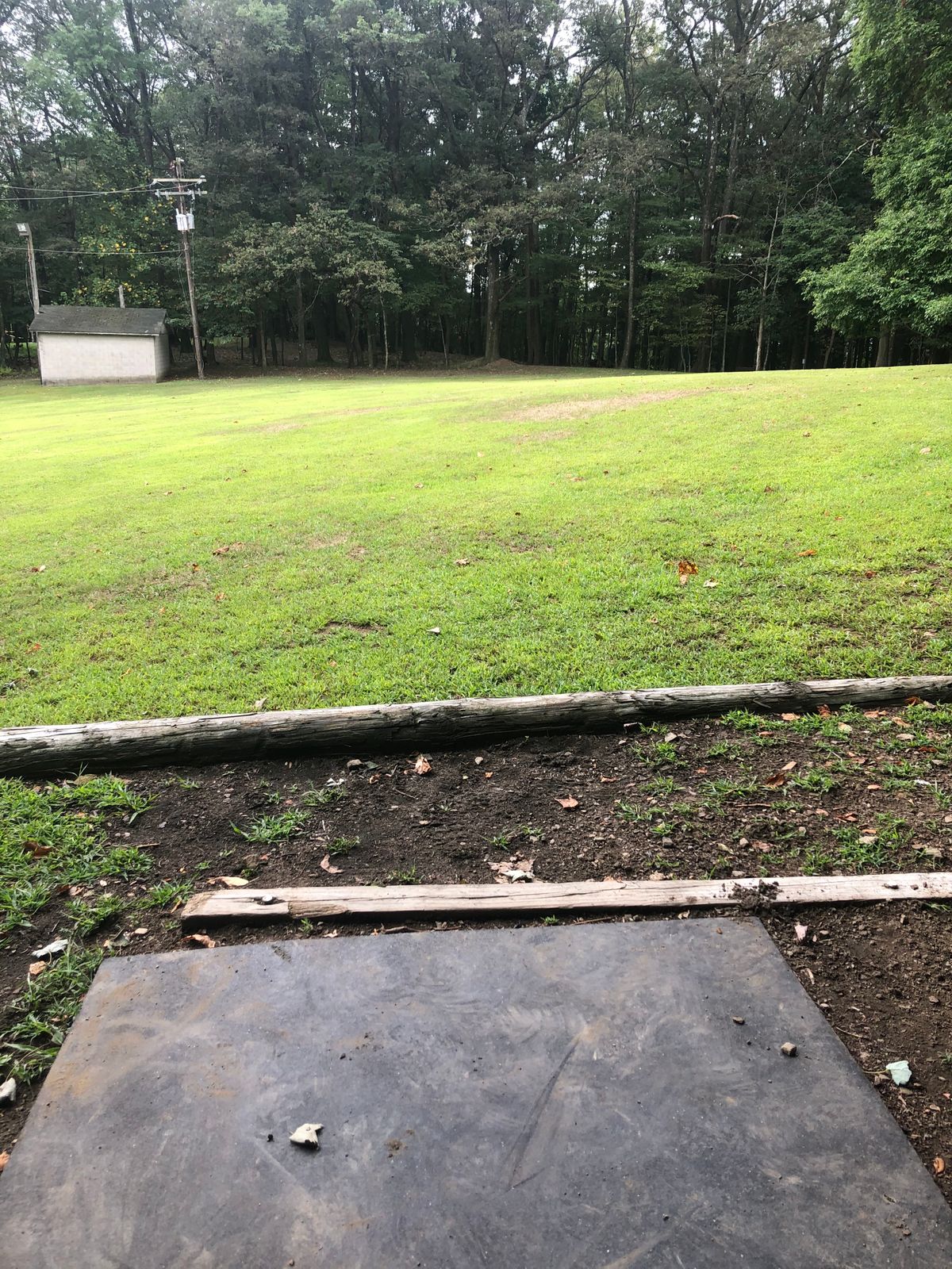 Hole 6 tee pad