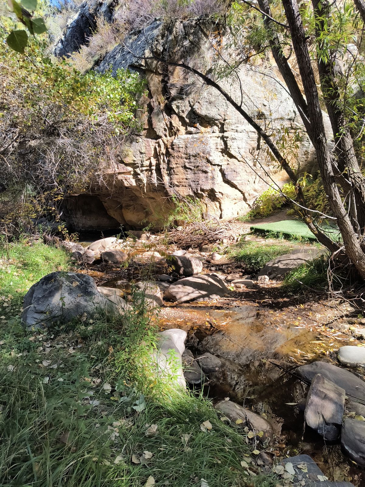 #12 Tee area