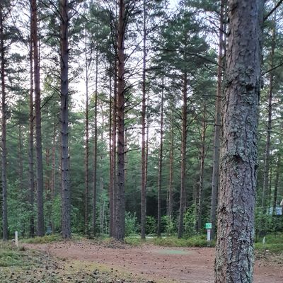 3B/C tiipaikka