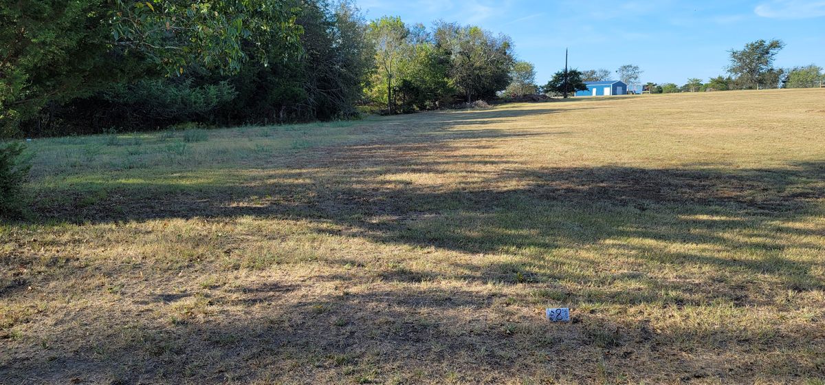 Hole 8 short