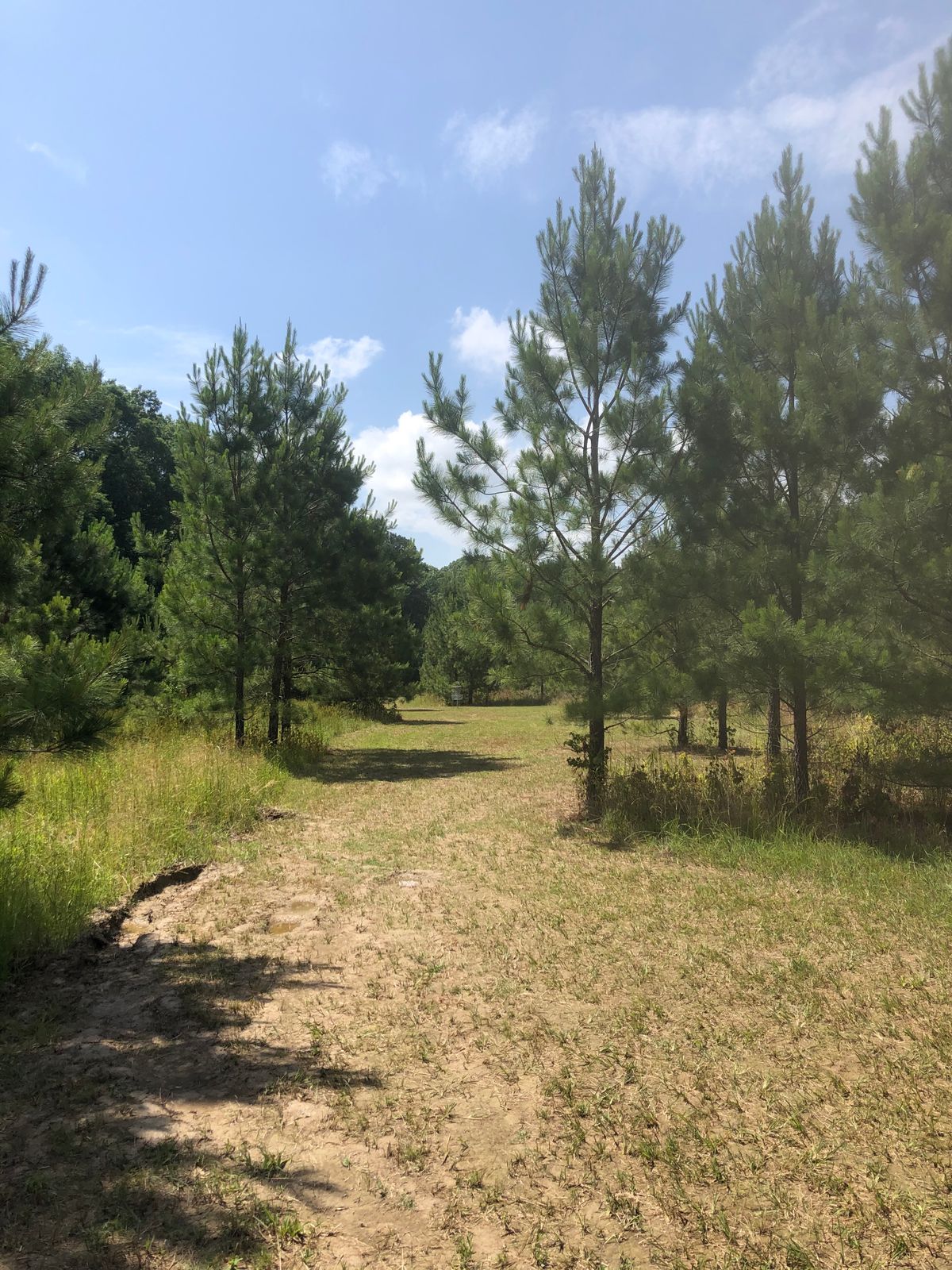 Hole 11