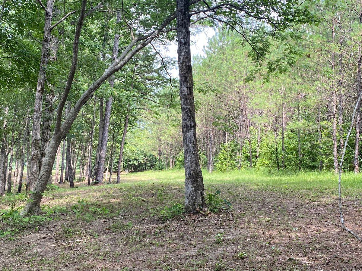 17 fairway
