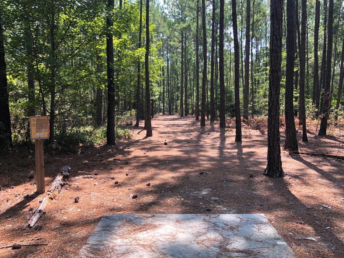 Hole 5 - Gold