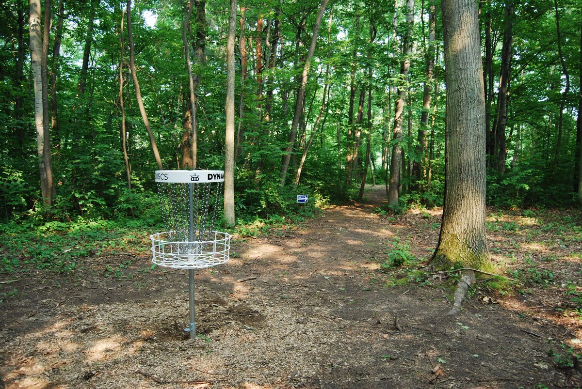 Hole 11 Long basket position looking toward path to 12 tee