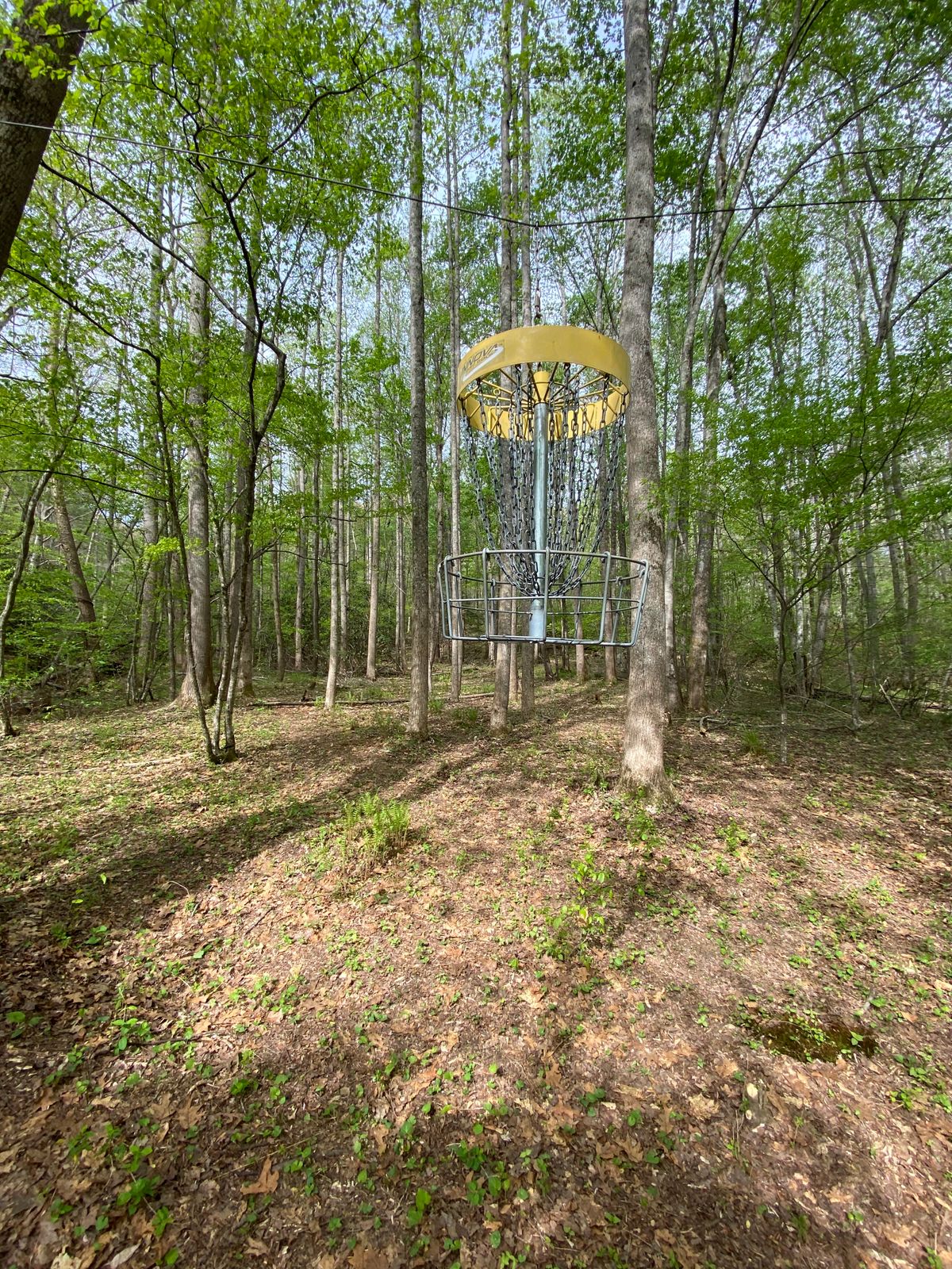 Hole 6 green. Hanging basket.