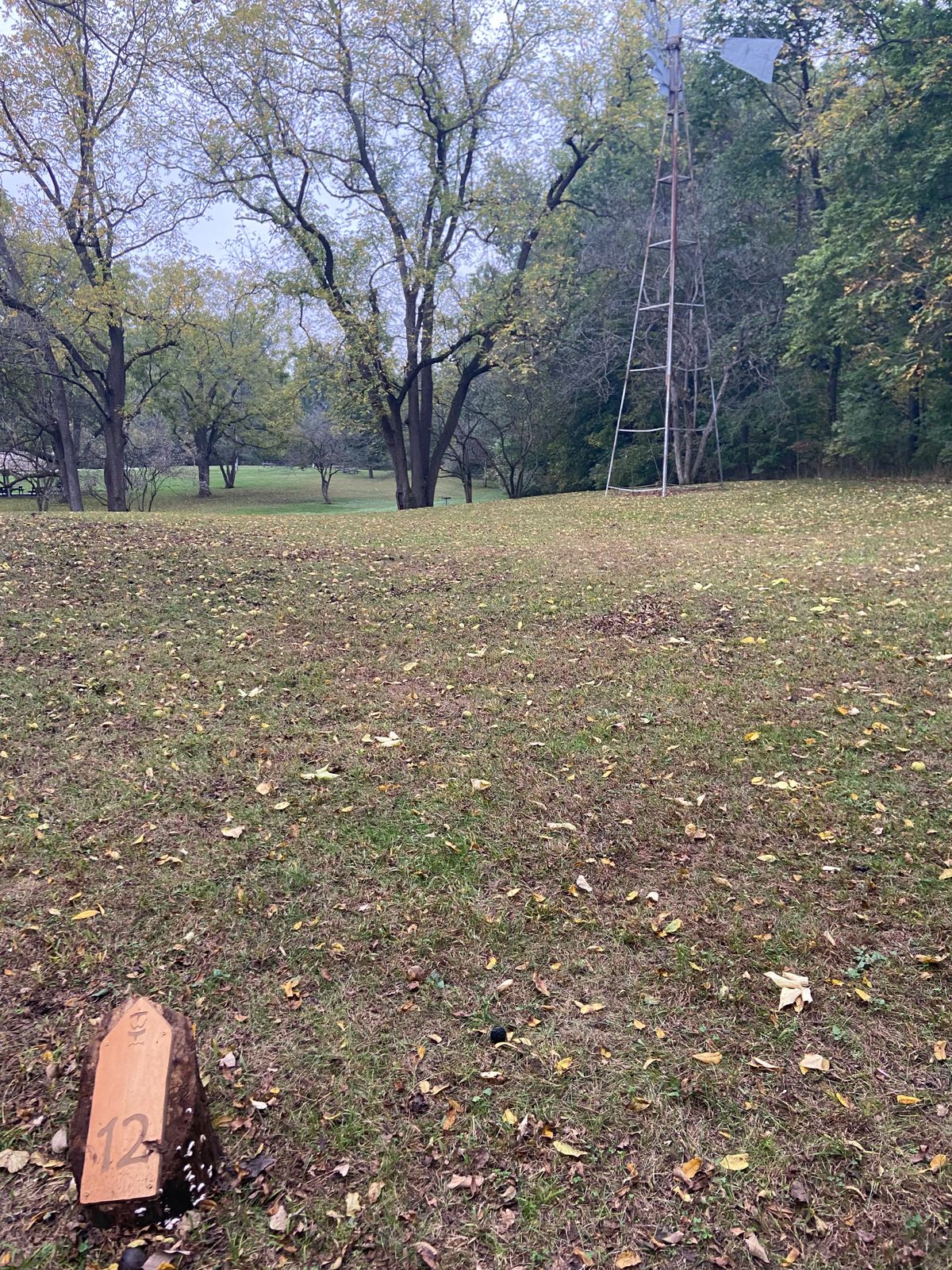 12 with windmill