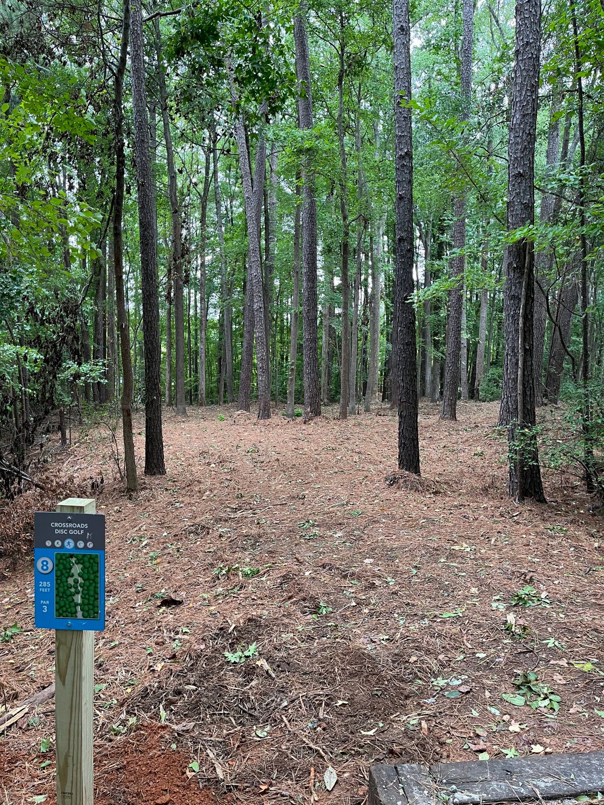 Hole 8
