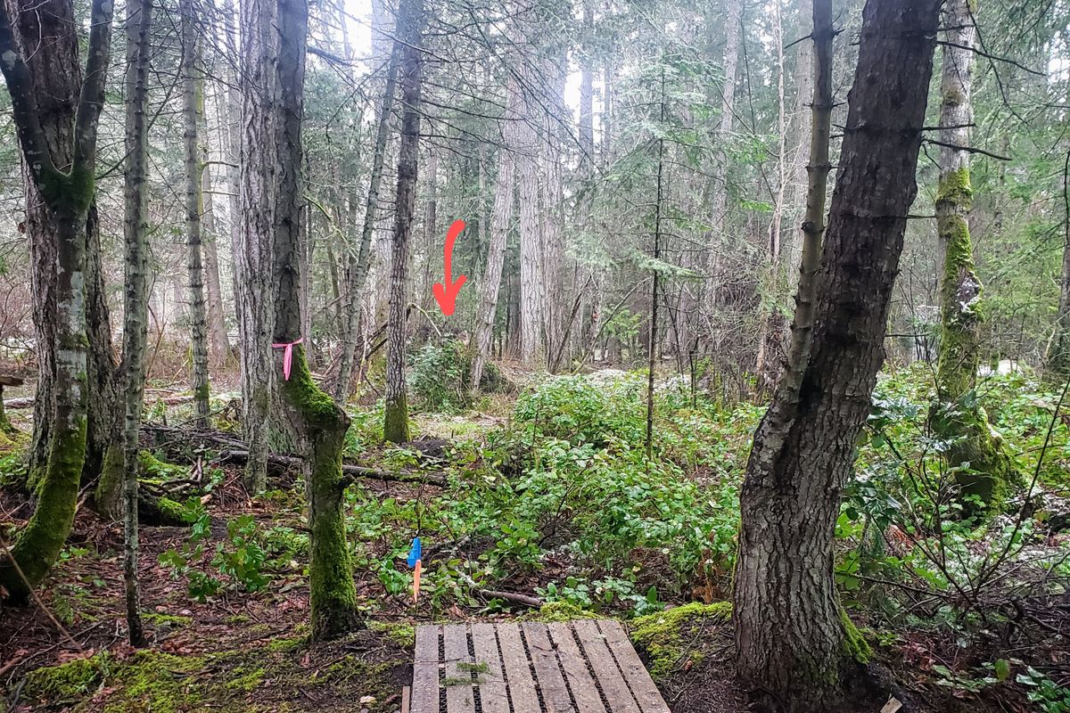 View from the tee on Hole 4.