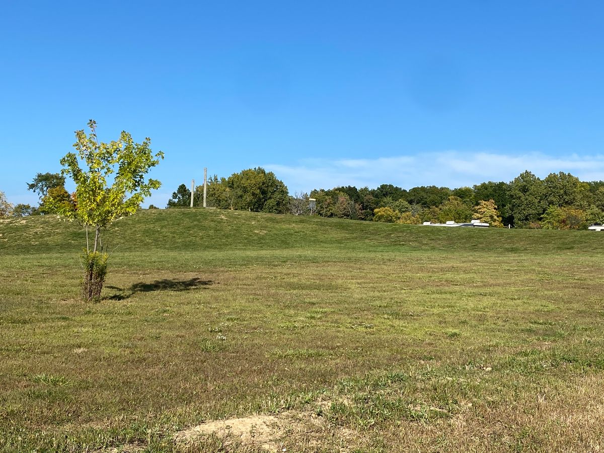 #6 fairway with basket in top a big hill