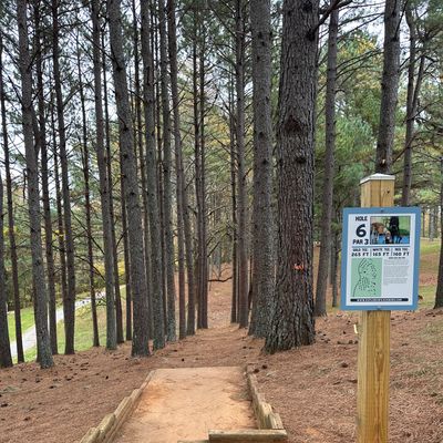 Hole 6's White Tee Pad