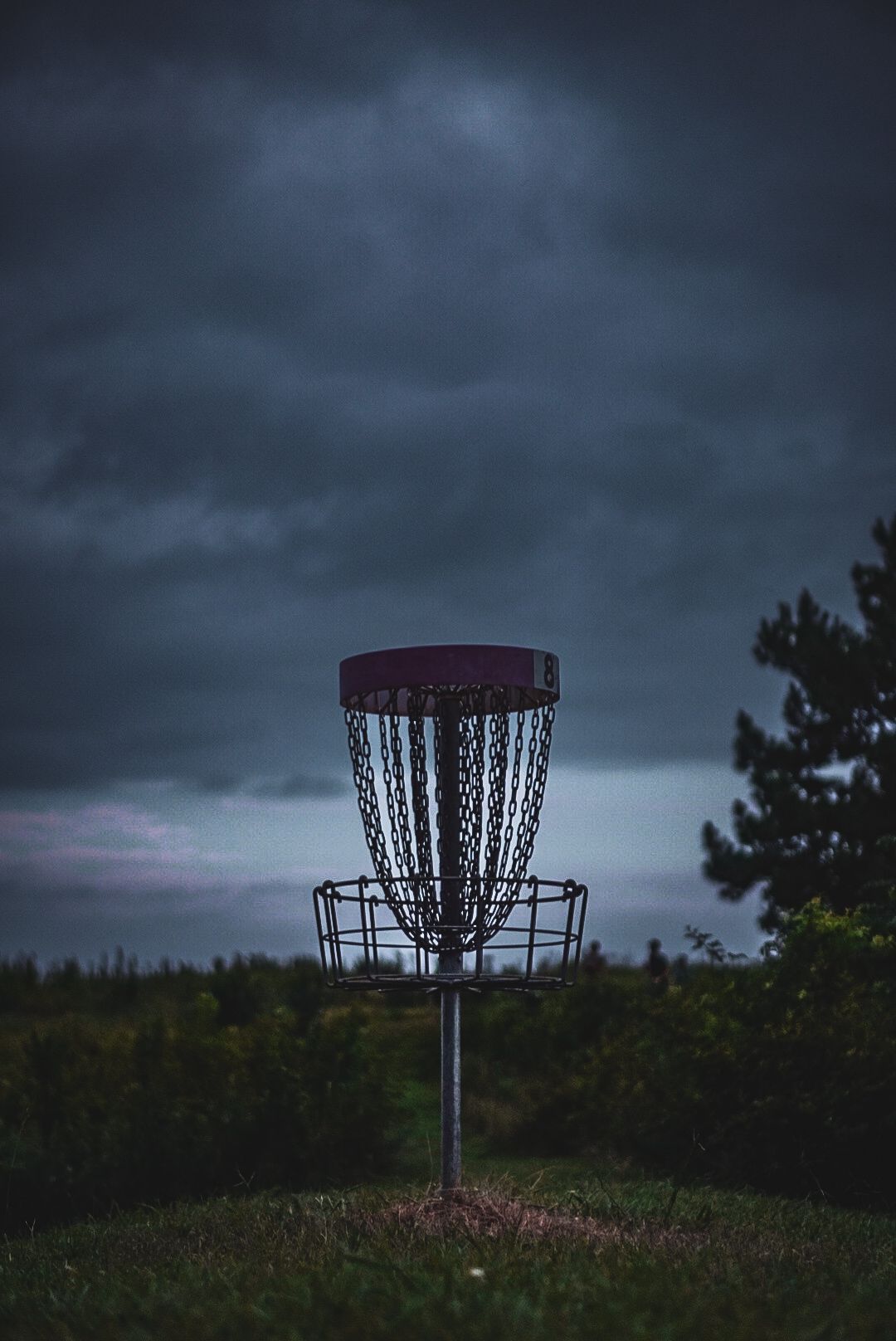 Hole #8 cage
