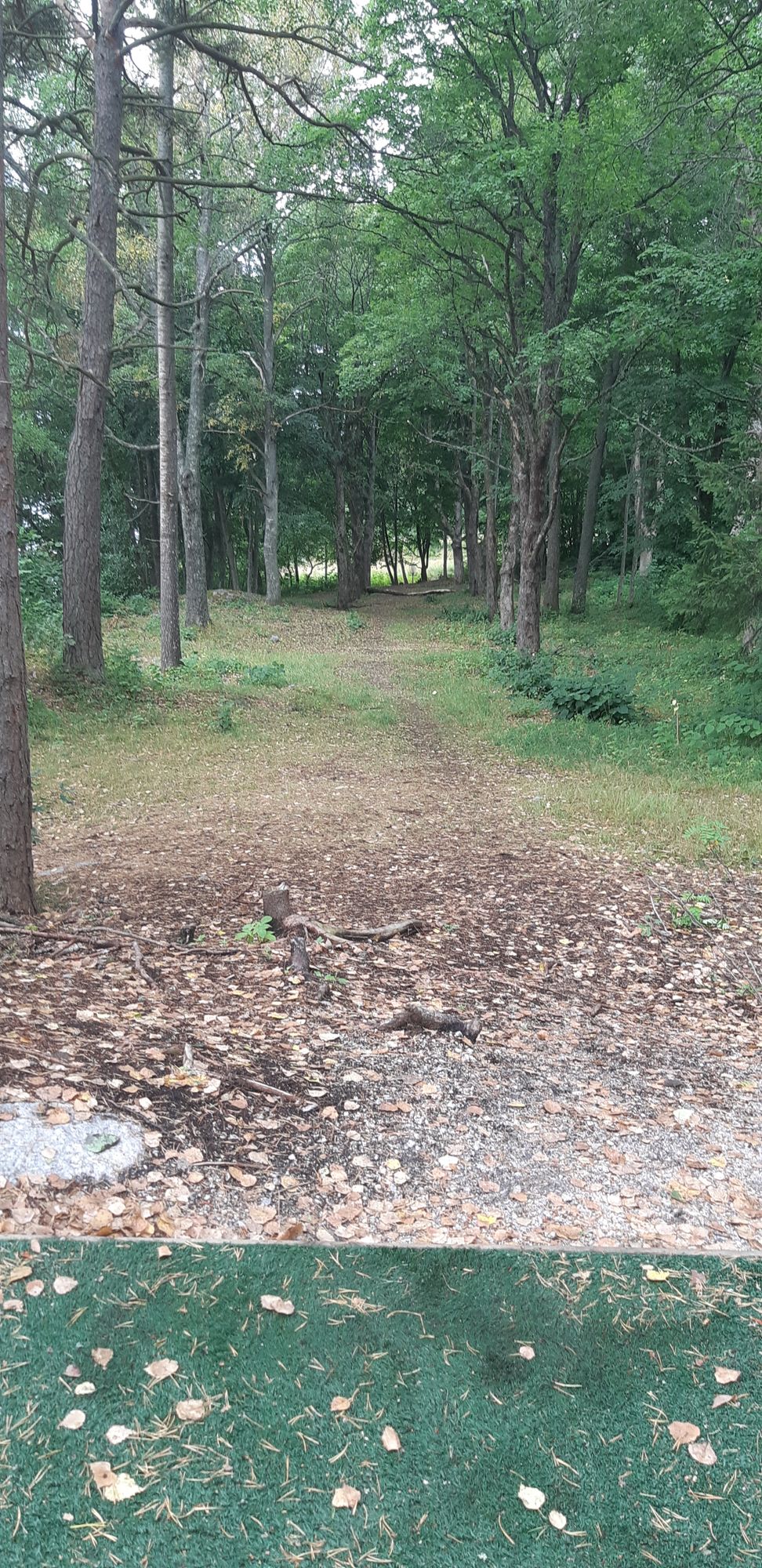 #16 89m par 3