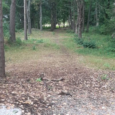 #16 89m par 3
