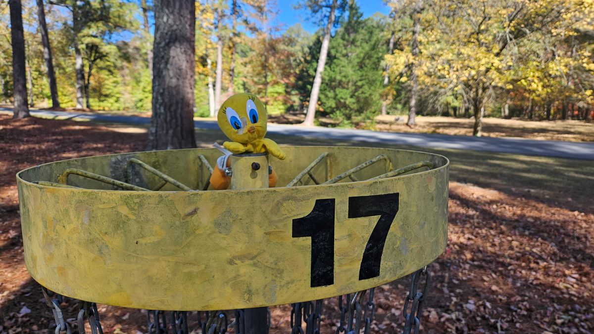 Tweety Bird hanging out