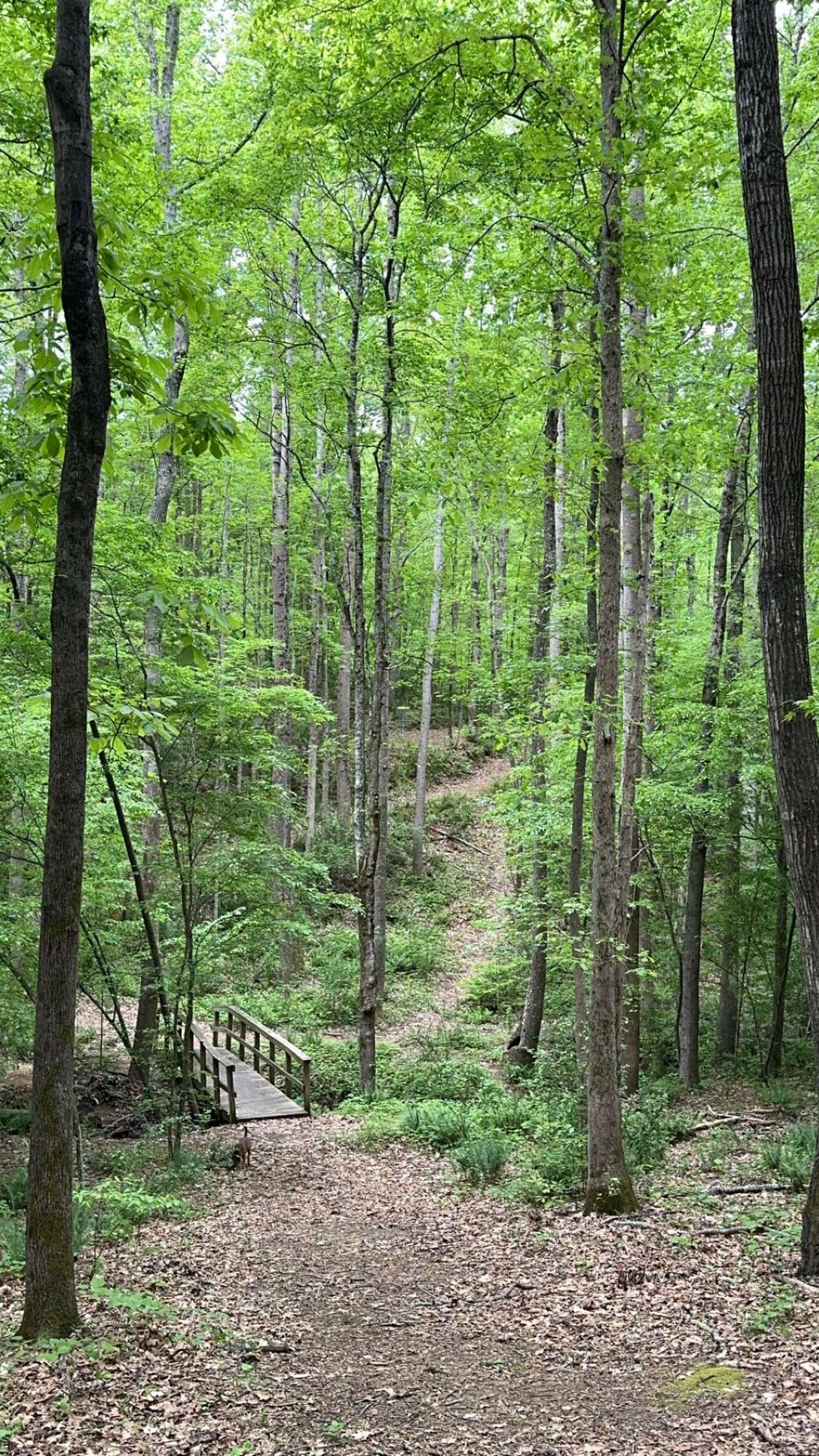 Hole 4