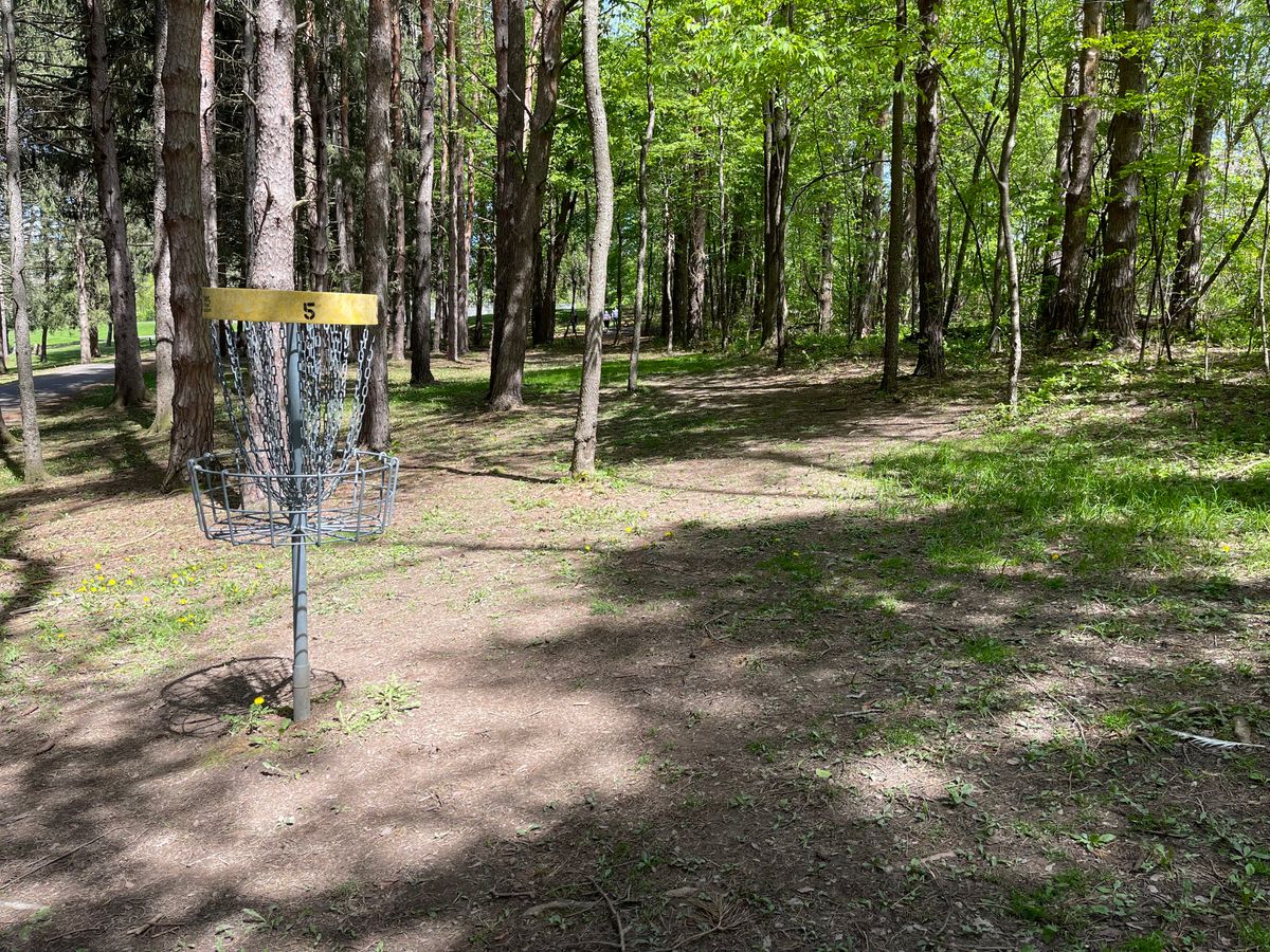 Hole 5 Basket to Tee