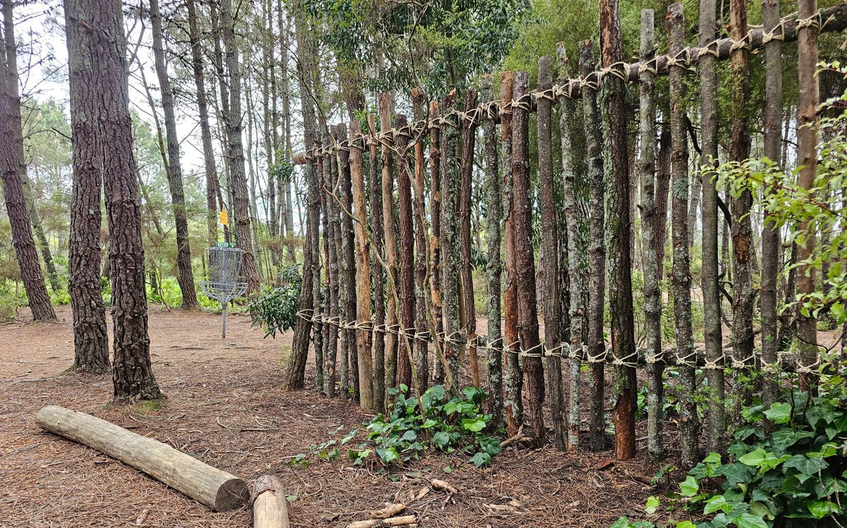 New rustic wall near 3rd basket to protect players teeing off on hole 4.