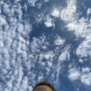User avatar image