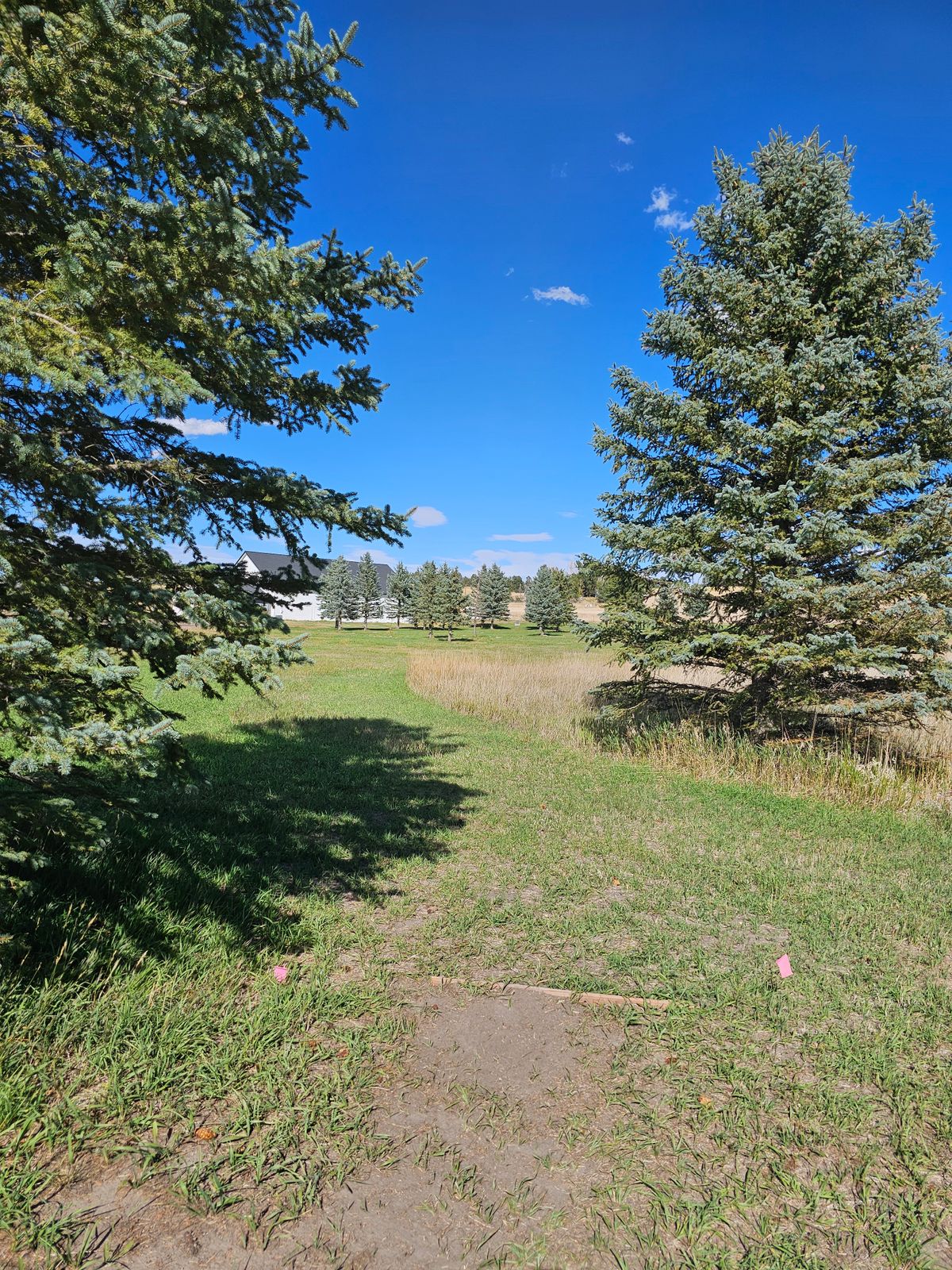 Hole 9