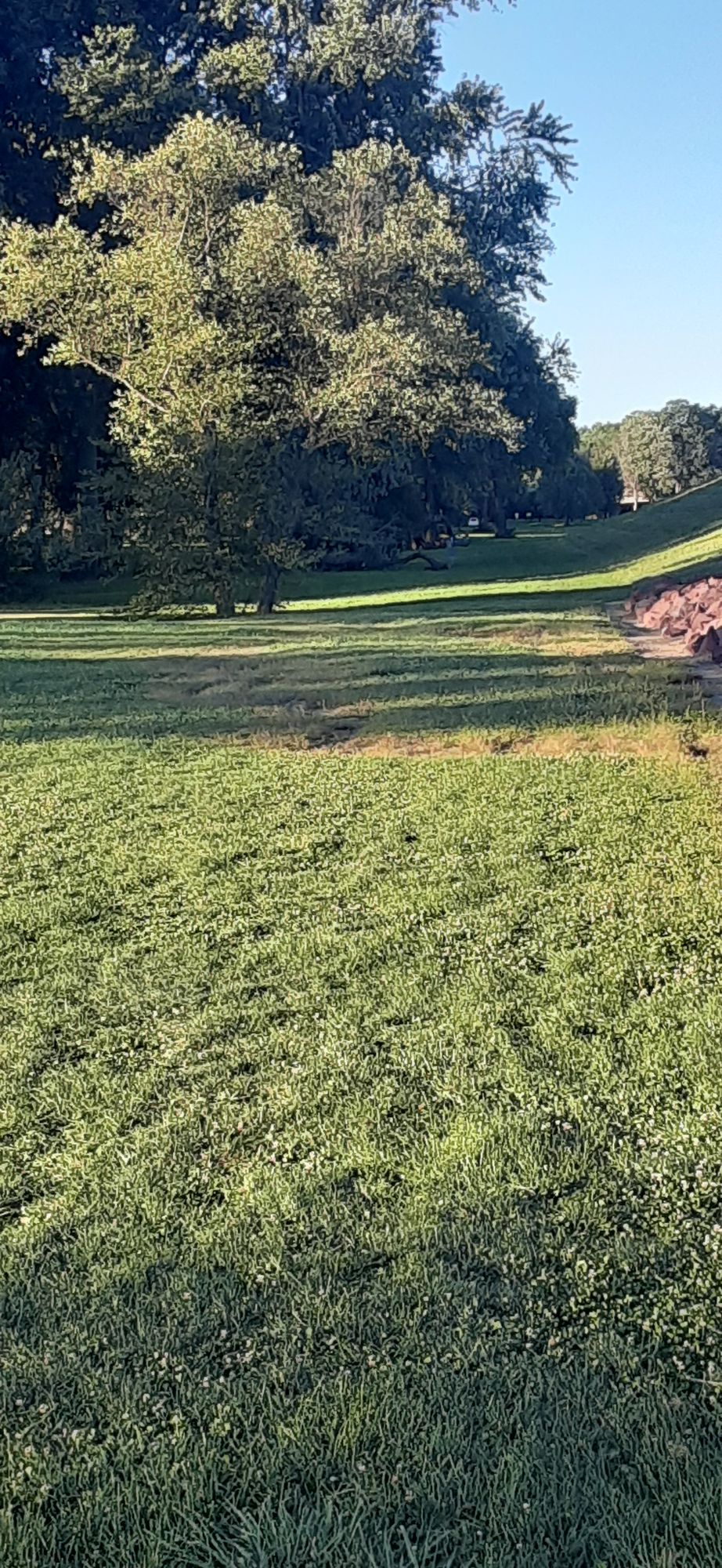 Hole 6 from tee
