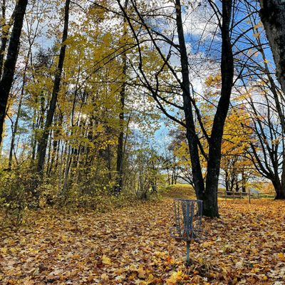 Perfect autumn round!