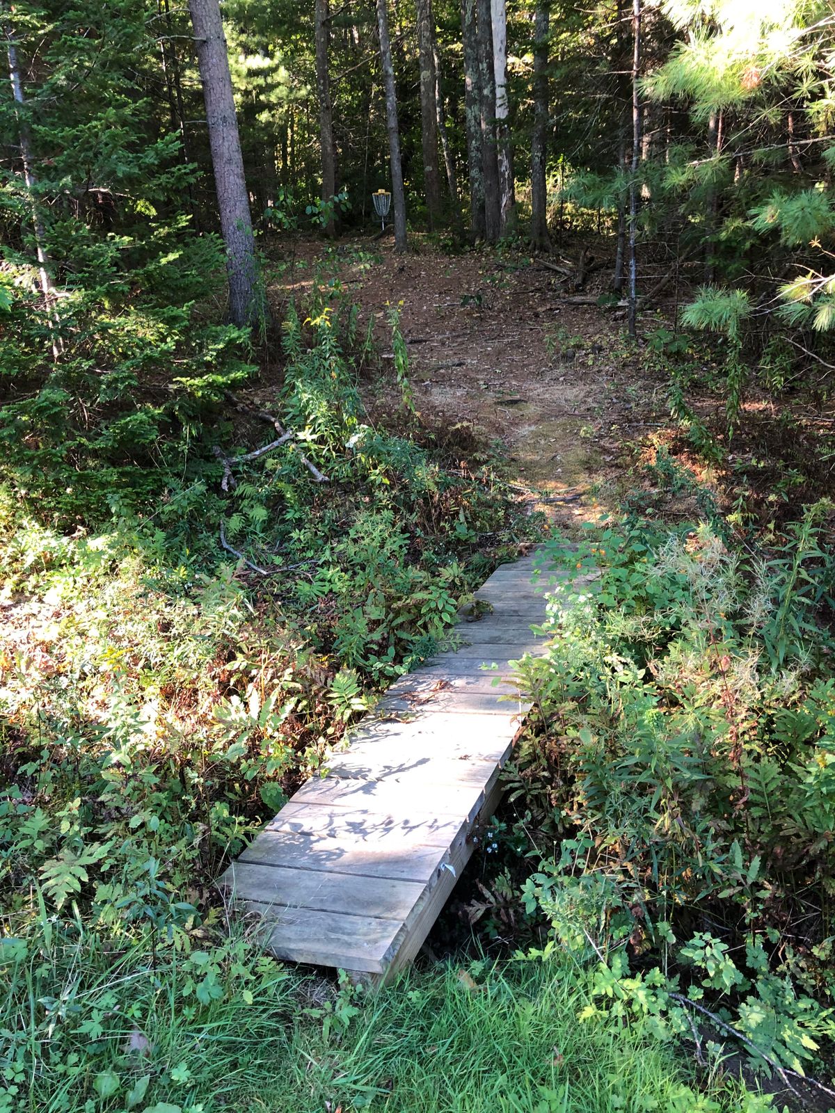 Hole 8 fairway