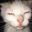 User avatar image