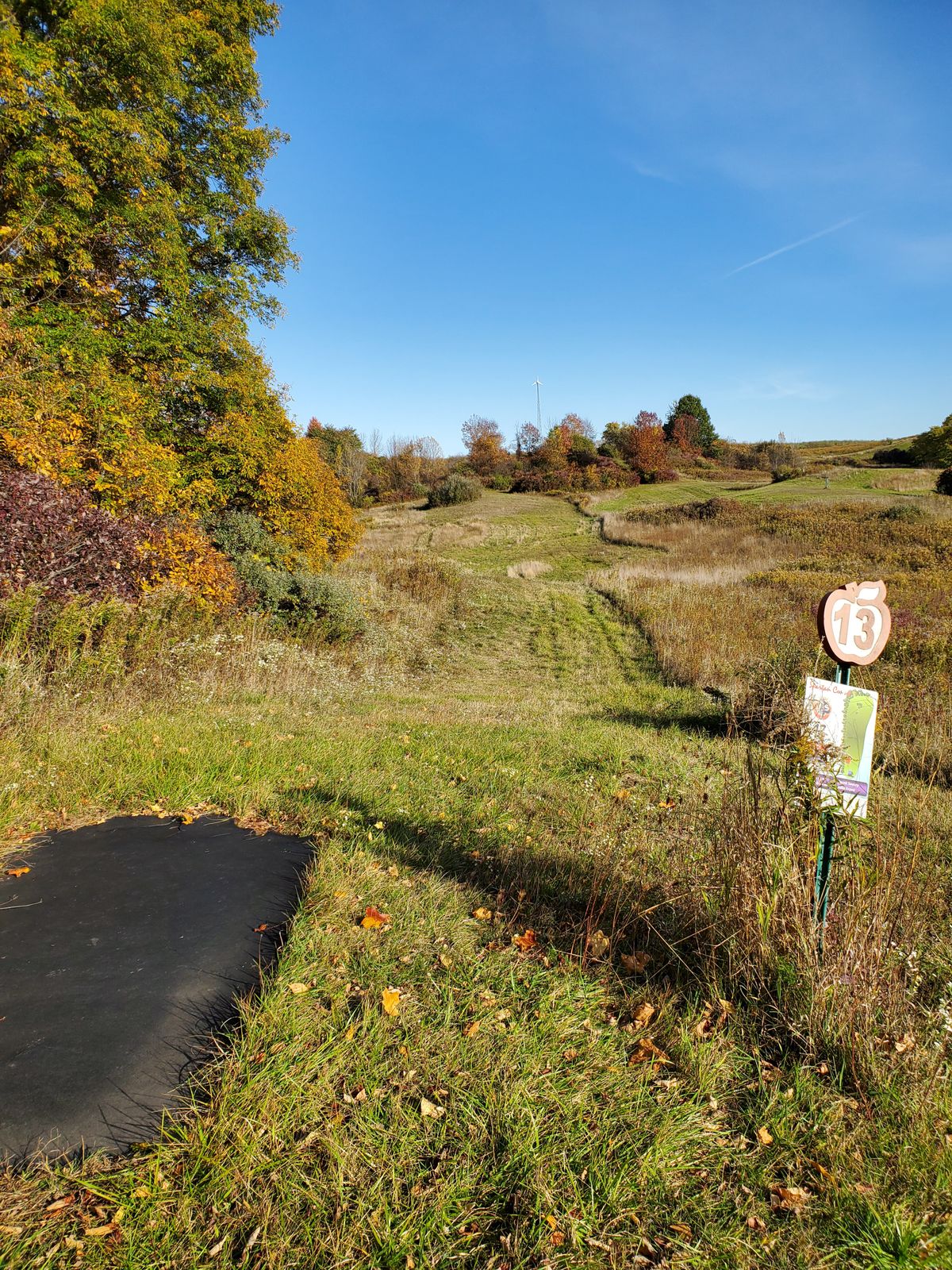 Hole 13