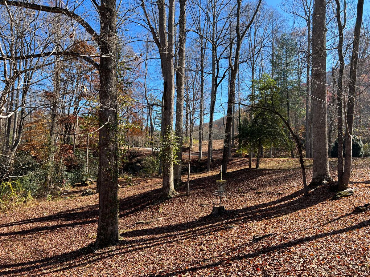 Back side of basket #15.  Not a power shot.  Fade left to right.  Plenty of elevation change.