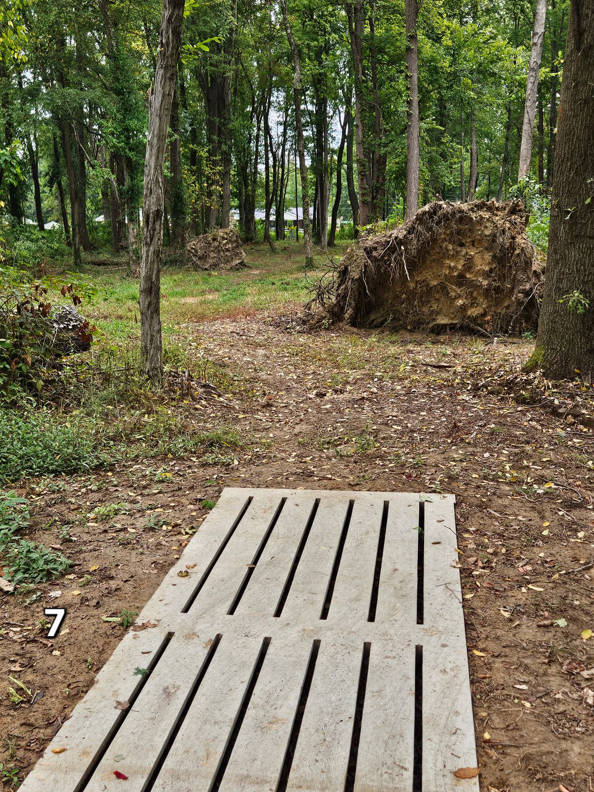 Hole 7