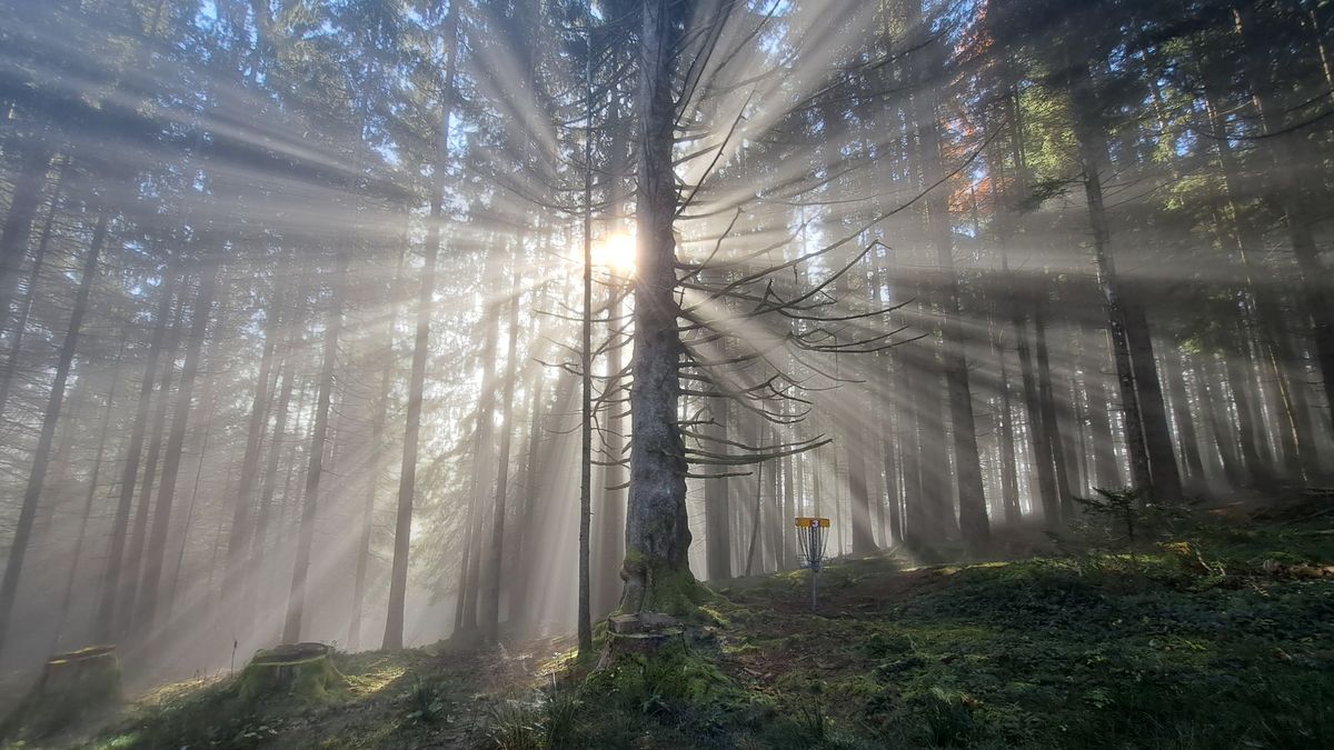 Nature shows her crown on the Hill