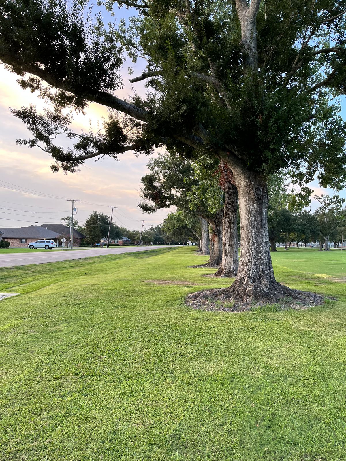 Hole 3 Alt. Forehand route