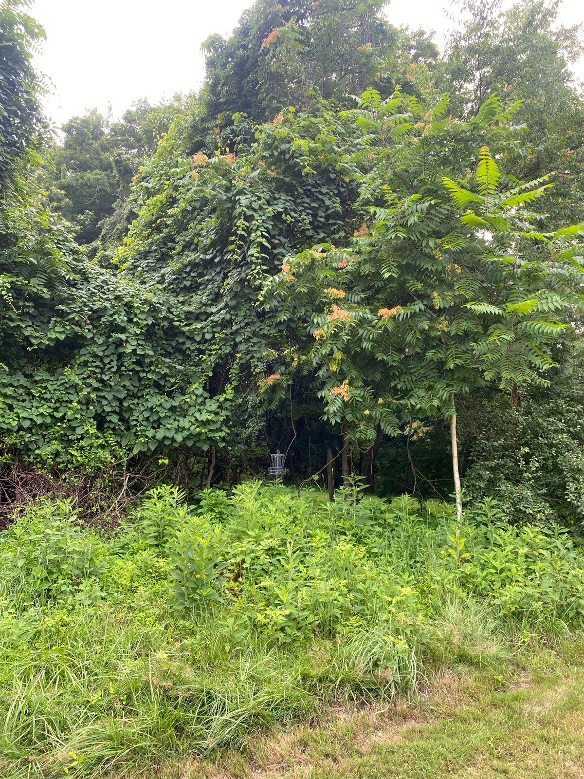 Hole 5 gap
