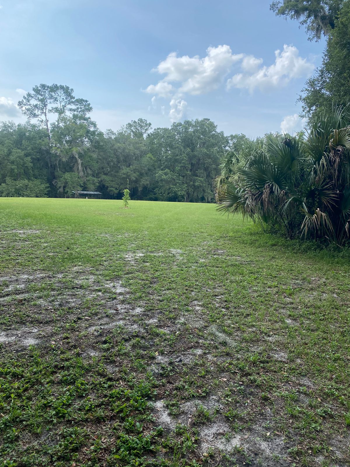 Cuscowilla Condo Rentals at Earnestine Wilkinson blog