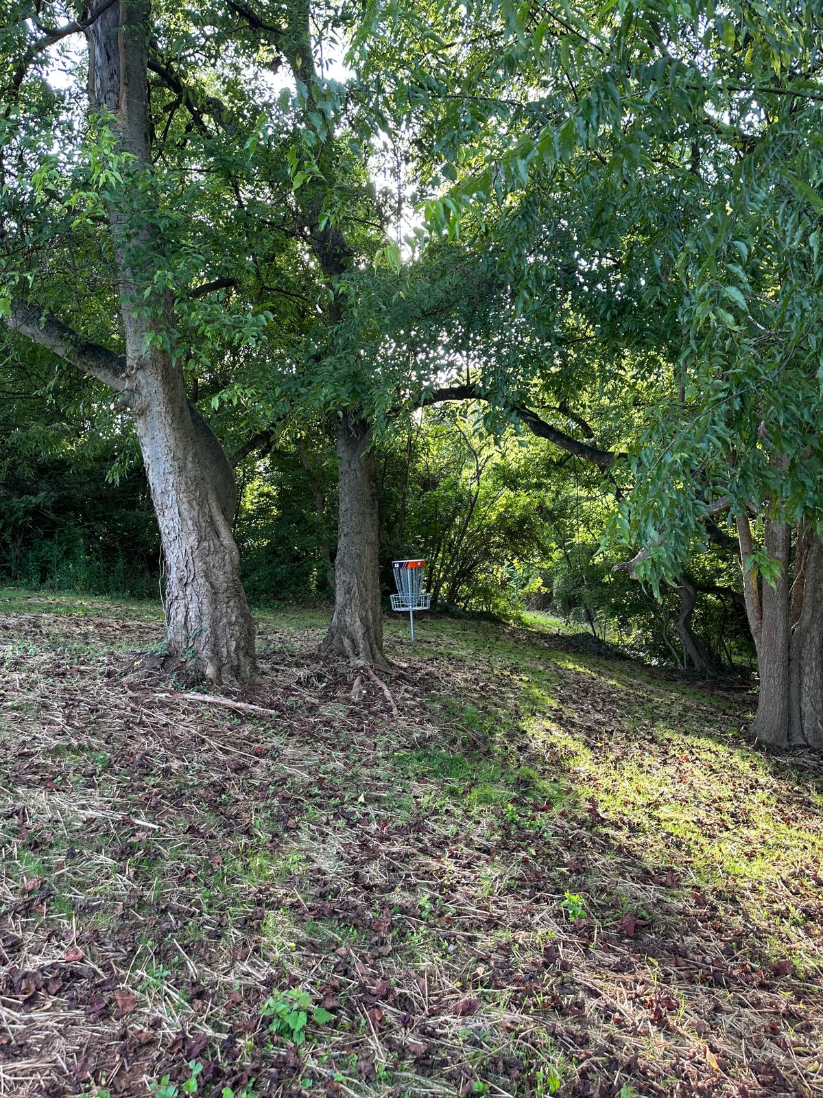 Hole 15 approach