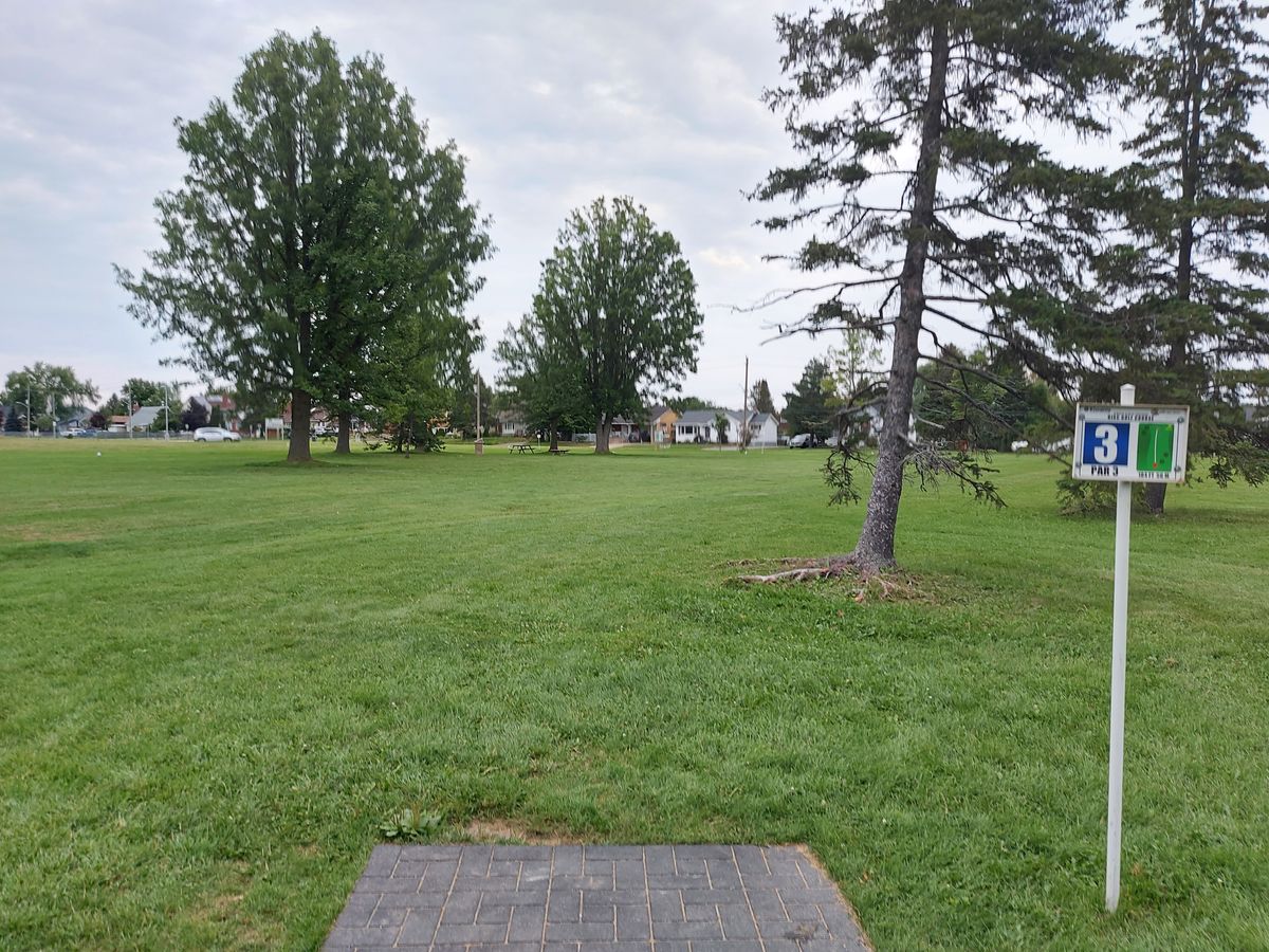 Tee pad 3🍁🌲🍁🌳