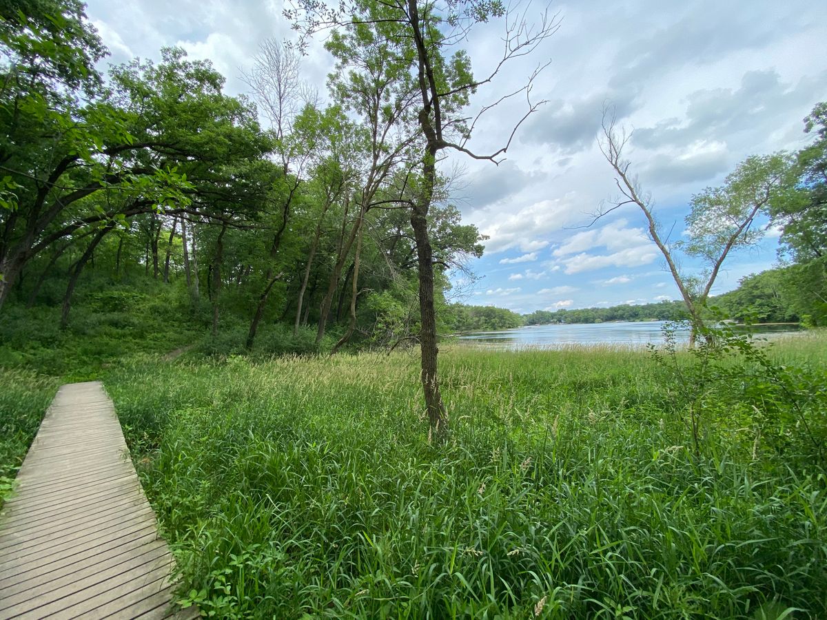 Bridge from #11 to #12