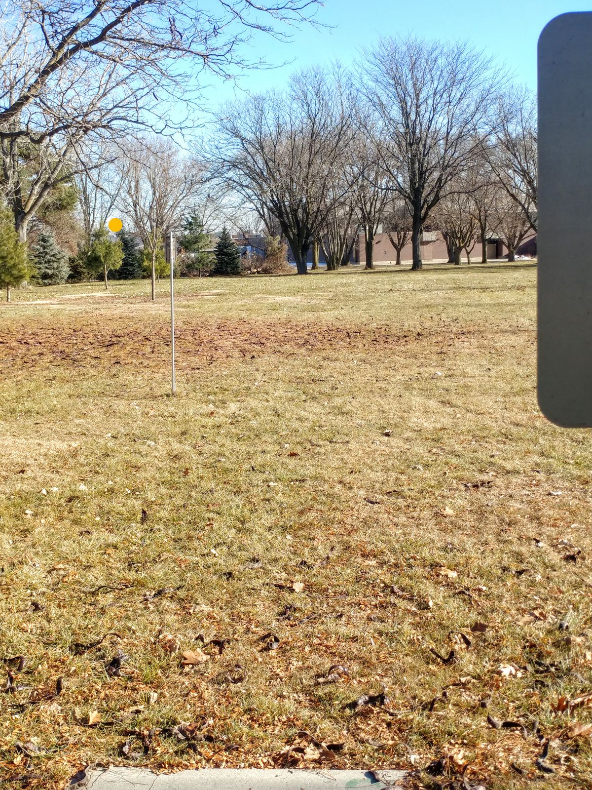 Hole #3. Pin is tucked behind trees on left.