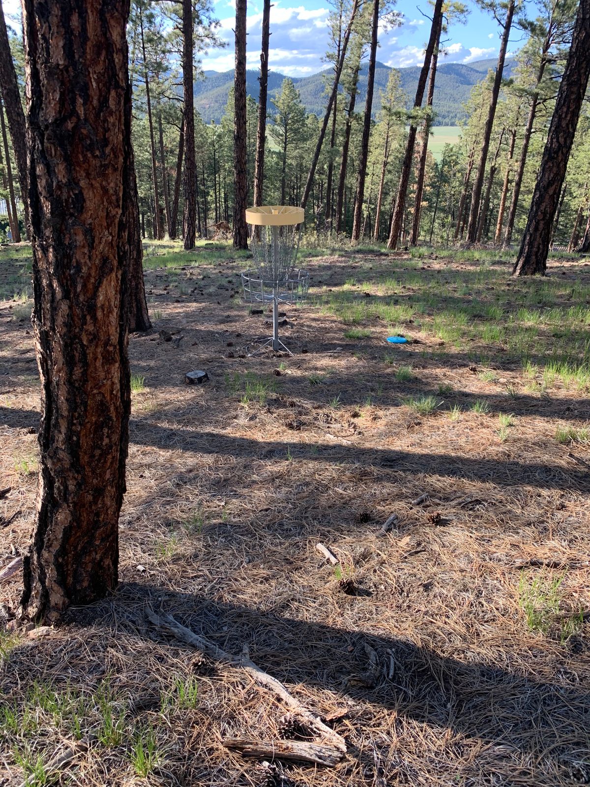 Hole 16